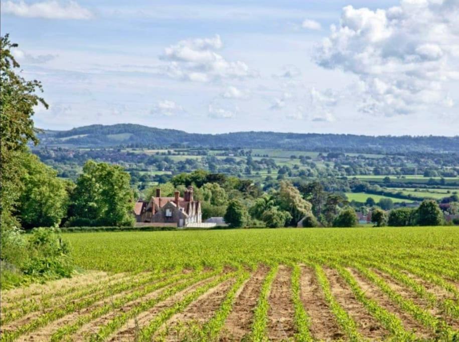 Stags Barn Saxon Maybank Sherborne  Exteriér fotografie